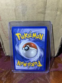 Minccino BW13 (Cracked Ice Holo) Black & White Promo Pokemon LP+ or NM - Image 2