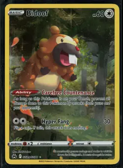 Bidoof GG29/GG70 Crown Zenith Galarian Gallery Trainer Gallery Rare Holo Pokemon - Image 1