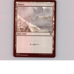 MTG - Wastes - Free P+P - Image 1