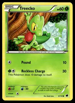 Treecko Plasma Freeze 6/116 MP Pokemon TCG | Buy 10 Get 10 Free - Image 1