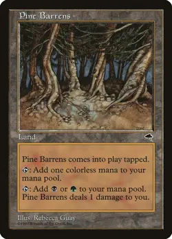 1x Pine Barrens - LP - Tempest Block - mtg - SPARROW MAGIC - Image 1
