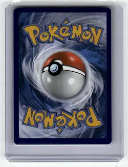 SWSH: Sword & Shield Promo Cards #SWSH065 Eevee V - Image 2
