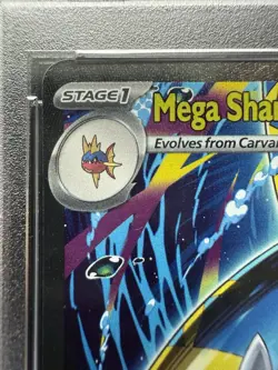 Pokemon Mega Sharpedo ex 127/094 Phantasmal Flames SIR Holo EN PSA 10 - Image 3