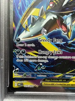 Pokemon Mega Sharpedo ex 127/094 Phantasmal Flames SIR Holo EN PSA 10 - Image 5