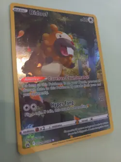 Bidoof | GG29/GG70 | NM | Crown Zenith Galarian Gallery | Pokemon Card - Image 1