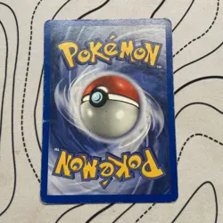 Pidgeot - 24/64 - Rare - Jungle Pokemon - MP - Image 2