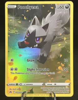 Pokemon TCG Poochyena Crown Zenith: Galarian Gallery GG33/GG70 Holo Holo Rare - Image 1