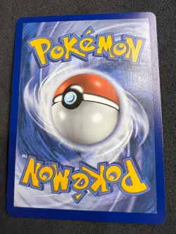 Minccino 146/202 Common Sword & Shield Pokemon 2020 - Image 2