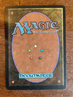 MTG Northern Paladin - Beta LP - Image 2