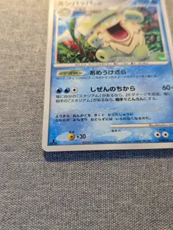 Pokemon Card Ludicolo DPBP#322 Holo Japanese Shining Darkness Foil LP 2007 1st - Image 5