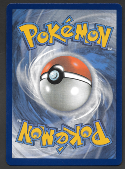 Lycanroc Vmax 213/203 Sword & Shield Evolving Skies Pokemon Card NM - Image 2