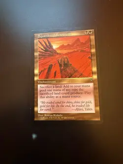 1x (one) SQUANDERED RESOURCES - FI - MTG Visions Reserved List Rare CCG Magic - Image 1