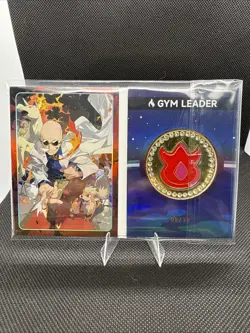 Pokemon Eif Origin 2.0 Gym Badge Fire Type Case Hit 08/38 Non-TCG - Image 1