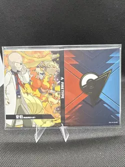 Pokemon Eif Origin 2.0 Gym Badge Fire Type Case Hit 08/38 Non-TCG - Image 4