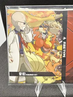 Pokemon Eif Origin 2.0 Gym Badge Fire Type Case Hit 08/38 Non-TCG - Image 5