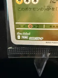 Fukuoka’s Pikachu 289/SV-P Pokemon Center Promo SEALED Japanese Sleeves & Box - Image 5