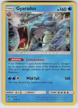 Holo Gyarados 20/70 Rare Dragon Majesty Near Mint - Image 1