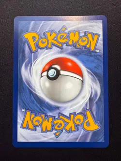 🌈 Chimchar #041 - Pokemon First Partner Black Star Promo - Pokemon TCG - NM/MT - Image 2