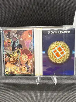 Pokemon Eif Origin 3.0 Gym Badge Fighting Type Case Hit 19/38 Non-TCG - Image 1