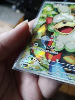 Pokemon Gem Vol 5 Chinese Full Art Card Lot 12 Houndoom Horsea Growlithe Spheal - Image 3
