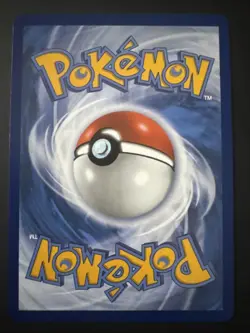 Philippe- 110/086 Full Art Trainer Supporter Pokemon-Chaos Rising - Image 2