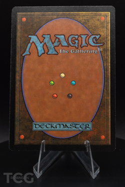 Mountain - Asia Pacific Land Program (PALP) Regular - Magic the Gathering - Image 2