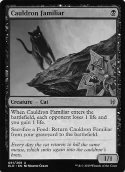 Cauldron Familiar ELD 81 Normal English NM - MTG - Image 1