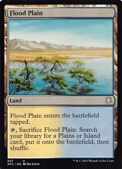 Flood Plain AFC 237 Normal English NM - MTG - Image 1