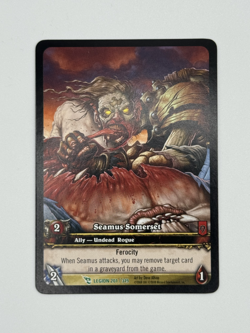 World of Warcraft TCG Legion 201/319 Extended Art Seamus Somerset - Image 1