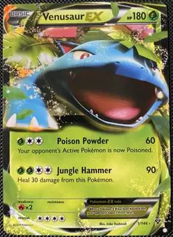 Venusaur EX 1/146 XY Base Set Holo - Pokemon Card - Image 1