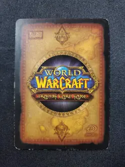 Spectral Tigar 193 LP World of Warcraft TCG Fires Of Outland - Image 4