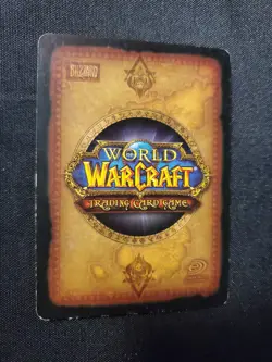Spectral Tigar 193 LP World of Warcraft TCG Fires Of Outland - Image 5