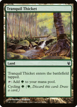 Tranquil Thicket Duel Decks Izzet vs Golgari Light Play MTG Magic DNA GAMES - Image 1