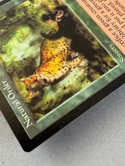 Natural Order MTG Visions—Never Played Near Mint—Vintage Magic RESERVE LIST - Image 5