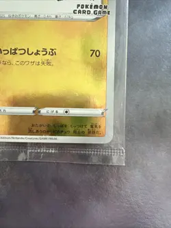 Pikachu Yu Nagaba Sealed 208/s-p Japanese Promo - TCG Pokemon Japanese Cards - Image 5