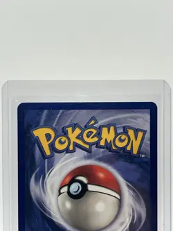 Raticate Base Set 40/102 1st Edition Pokemon TCG Regular Unlimited Uncommon - Image 3