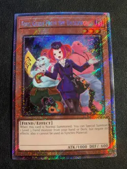 Tour Guide from the Underworld (Alternate Art) (Platinum Secret Rare) - Yugioh - Image 1