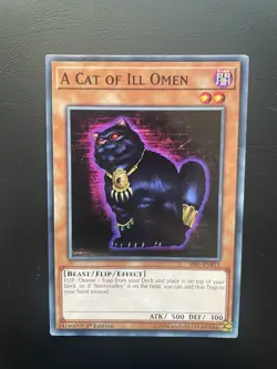 Yugioh A Cat of Ill Omen SS01-ENB11 1st Edition Common Speed Duel MP/HP - Image 1