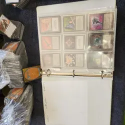 Very Old 90's MAGIC COLLECTION in Binder with 8 Pages of Cards. & 1000 Bulk MTG - Image 4