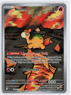 Pokemon TCG Numel Ascended Heroes 223/217 Illustration Rare Near Mint - Image 1