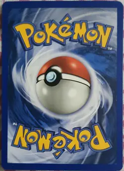 Pokemon TCG Charizard 146/144 Skyridge Holo Secret Rare 110 HP Eng 2003 - Image 2