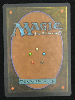 Root Maze - Japanese - Tenth Edition - Magic the Gathering MTG - MP - Image 2