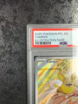 2025 POKEMON PHANTASMAL FLAMES EN YAMPER ILLUSTRATION RARE #099 💎 PSA 8 - Image 3