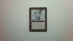 MTG Singles - Glacial Chasm - Ice Age, Uncommon, 1995 - Image 1