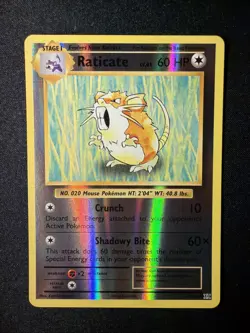 Raticate 67/108 XY Evolutions Reverse Holo ⭐ (ENGLISH Pokemon) Crisp NM/M - Image 1