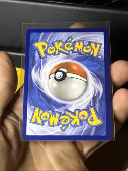 Pokemon Charizard ex SVP074 | Sv: Scarlet & Violet Black Star Promo NM - Image 5
