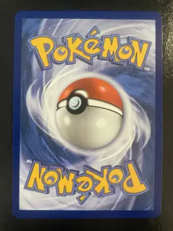 Mega Charizard Y ex 030 Holo Promo ME: Mega Evolution - Image 2