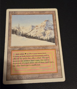 Taiga - HP- - Revised Edition 3ED - MTG - Image 1