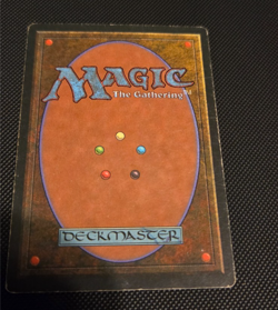 Taiga - HP- - Revised Edition 3ED - MTG - Image 2