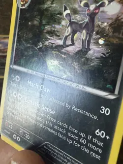 Pokemon Card Lot 7 Cards Umbreon XY96 Mewtwo WB Promo Absol Torterra Terrakion - Image 5